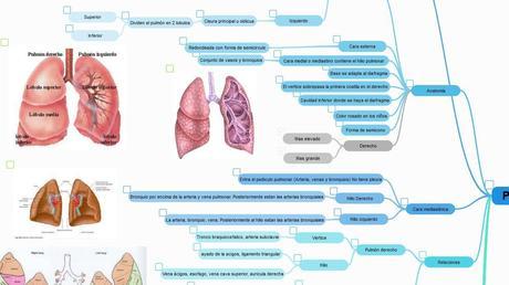 Triunfa este Curso con Metas Académicas, Organización y Planificación Metas académicas - seguimiento