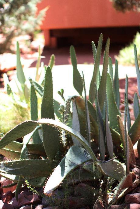 INSPIRATIONAL MONDAY #12 INSPIRATIONAL MONDAY #12