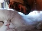 Estamos Agustito LIX. como