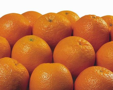 Plantas medicinales para bajar el colesterol