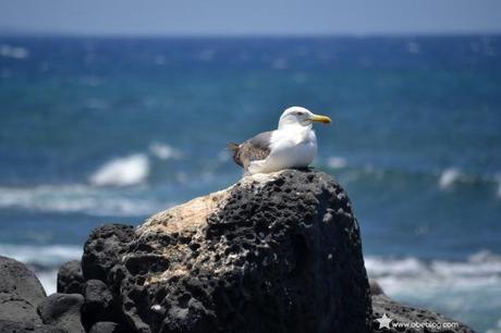 Lugares_con_encanto_en_Lanzarote_El_Golfo_06