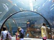 Quebec familia, atractivos museos