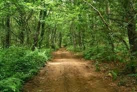 ESTA ESPAÑA NUESTRA 2014: ESCAPADA A LA MARIÑA LUCENSE.-  III, RÍAS ALTAS DE LUGO, DESDE CEDEIRA HASTA VIVEIRO, Y CABO ESTACA DE BARES