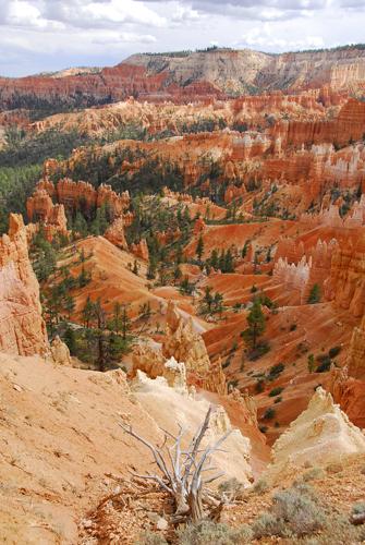 Bryce Canyon