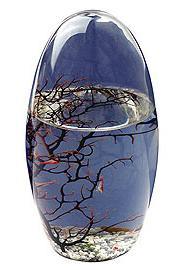 Un mundo vivo autosuficiente en una bola de cristal ecosfera_4