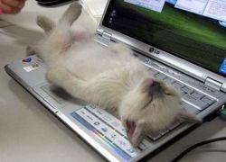 Escritores del siglo XXI