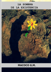 Portada primera opcion