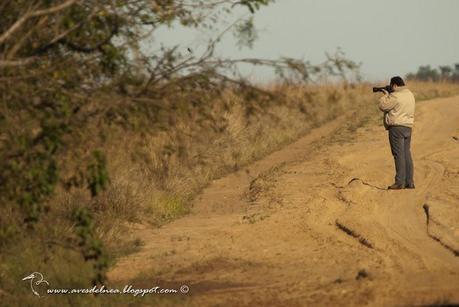 Postales del Iberá, Junio 2014