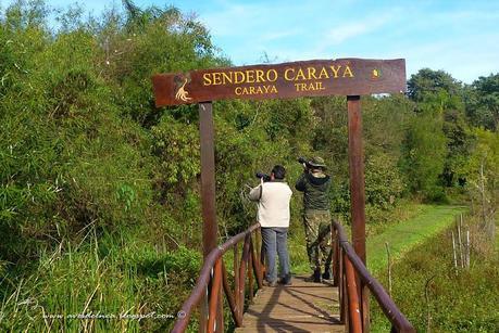 Postales del Iberá, Junio 2014