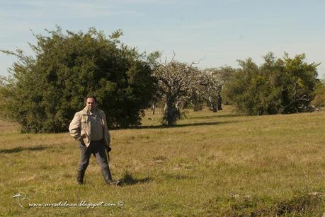 Postales del Iberá, Junio 2014