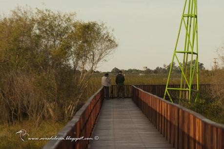 Postales del Iberá, Junio 2014