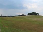 arquitecto recomienda: cementerio bosque. asplund lewerentz