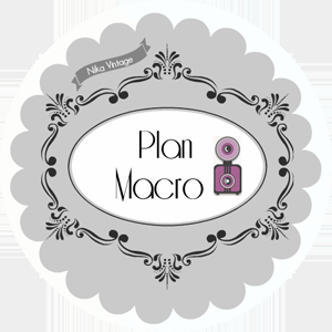 Plan Macro I - Diente de león