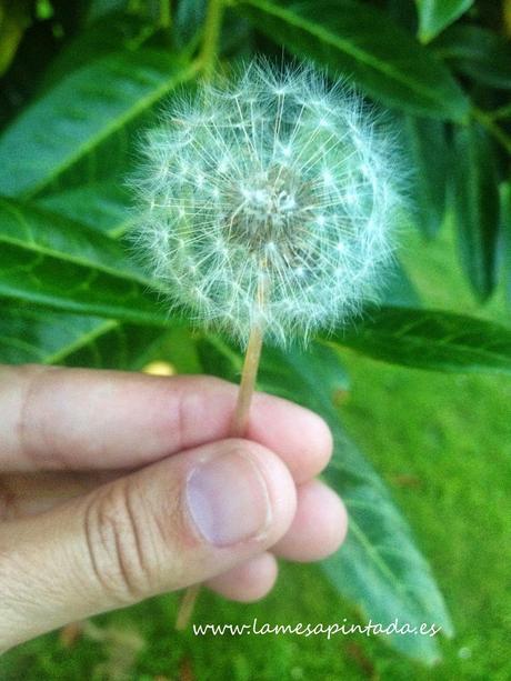 Plan Macro I - Diente de león