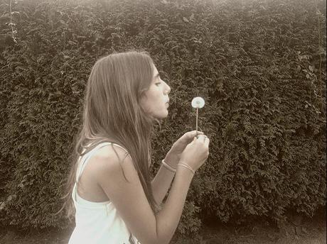 Plan Macro I - Diente de león