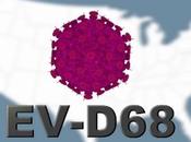 Enterovirus EV-D68, virus respiratorio afecta niños Estados Unidos
