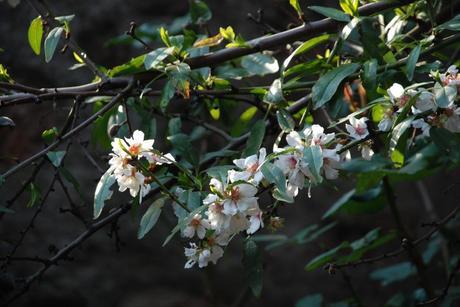 ¿QUIÉN Y QUÉ ERES TÚ, PARA LOS DEMÁS? (II) ¿Quien y que soy, para los demas? (y II)