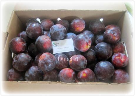 SMOOTHIE DE CIRUELA SMOOTHIE DE CIRUELA