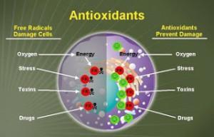 antioxidantes