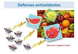 antioxidantes