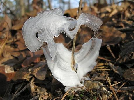 Extraordinarios fenómenos naturales