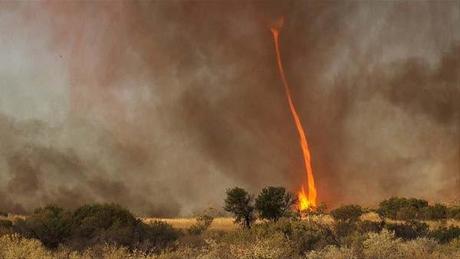 Extraordinarios fenómenos naturales