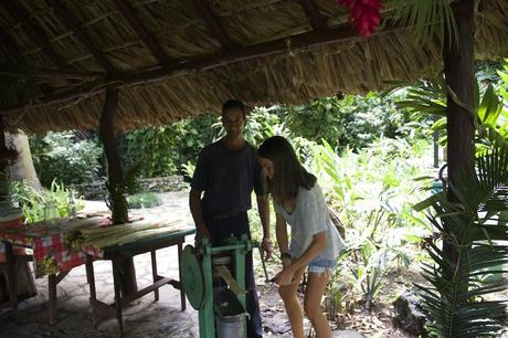 Viñales, Cuba IMG_3788