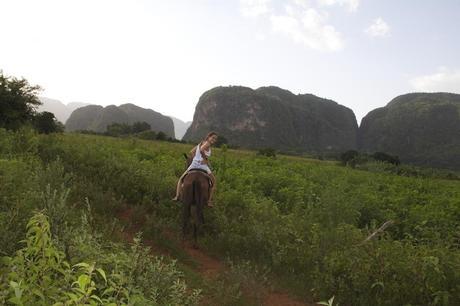 Viñales, Cuba IMG_3624