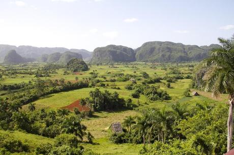 Viñales, Cuba IMG_3556
