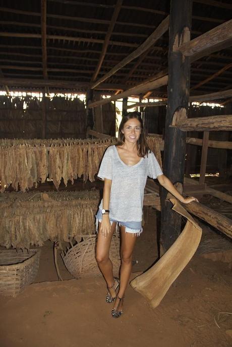 Viñales, Cuba IMG_3772