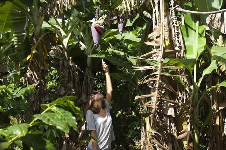 Viñales, Cuba IMG_3752