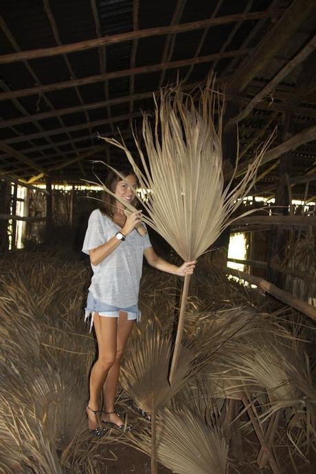 Viñales, Cuba IMG_3783
