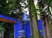Coyoacán Xochimilco