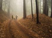 medio ambiente. ¿qué dejaremos nuestros niños?