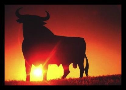 Diez medidas básicas. Parte 1. Diez medidas básicas. Parte 1.