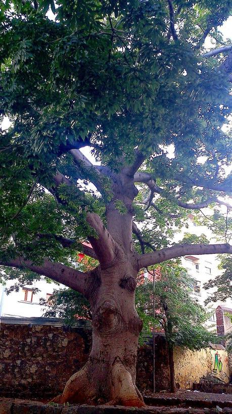 Fragmento* Fragmento*