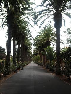 Lo que da de sí un paseo por La Laguna. Lo que da de sí un paseo por La Laguna.