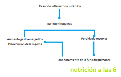 La fibrosis quística, ¿qué es y cómo tratarla?