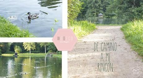 cabecera-mi-rincon