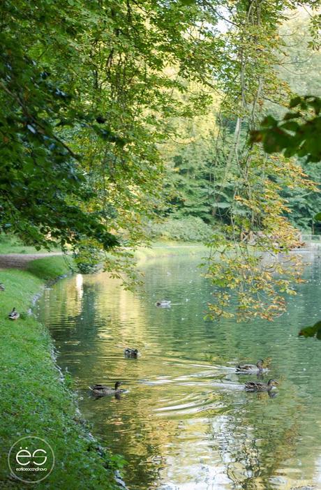 mi-rincon-wedeco-escandinavo-14