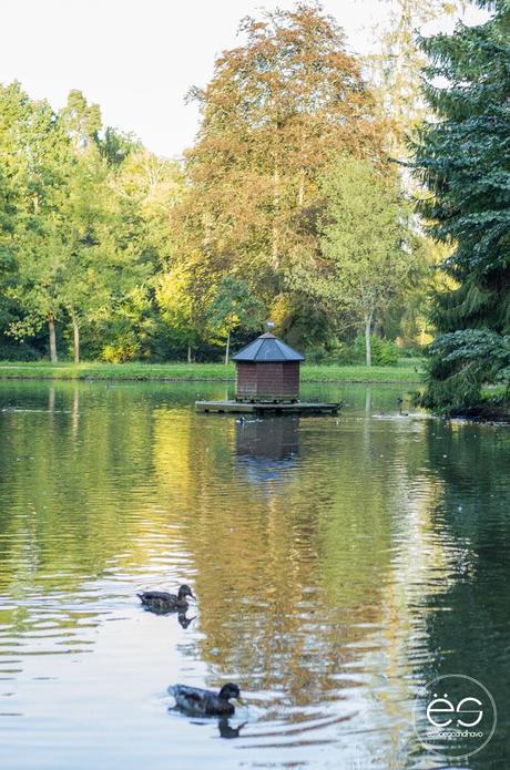 mi-rincon-wedeco-escandinavo-12