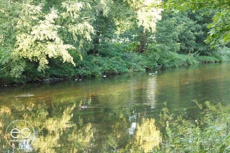 mi-rincon-wedeco-escandinavo-16