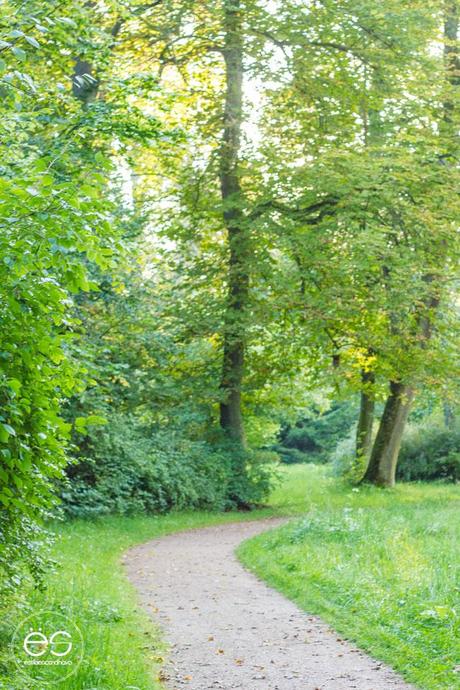 mi-rincon-wedeco-escandinavo-13