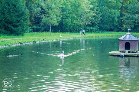 mi-rincon-wedeco-escandinavo-09