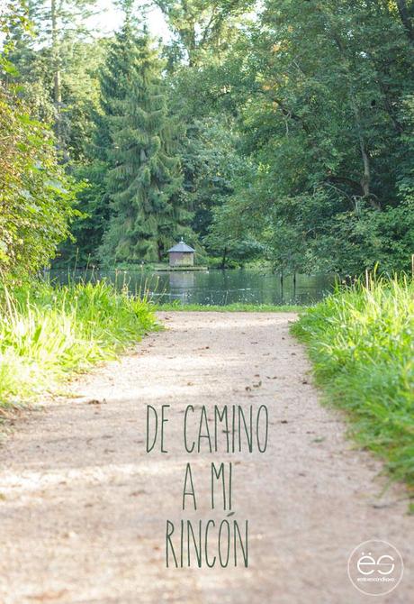 mi-rincon-wedeco-escandinavo-01