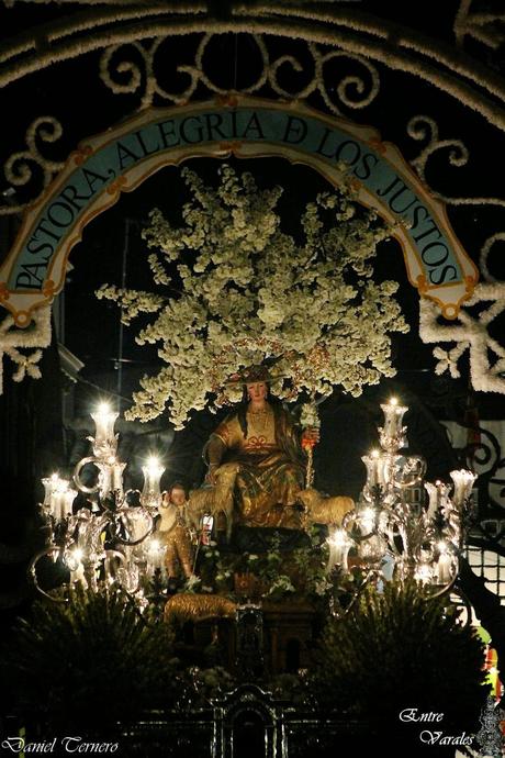 Galería fotográfica de la Procesión de la Divina Pastora de Cantillana