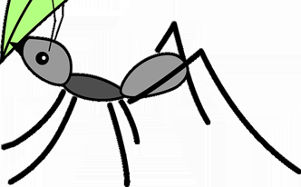 Árbol de té para una picadura de hormiga