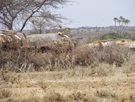 3 semanas en Kenia