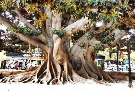El Parterre y la leyenda escondida en la escultura de Jaime I El Parterre y la leyenda escondida en la escultura de Jaime I