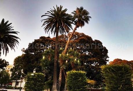 El Parterre y la leyenda escondida en la escultura de Jaime I El Parterre y la leyenda escondida en la escultura de Jaime I